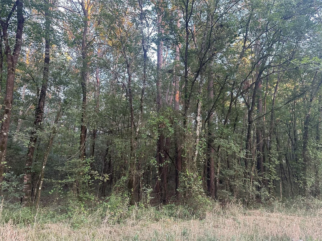 Photo of 2103 Jenkins Road