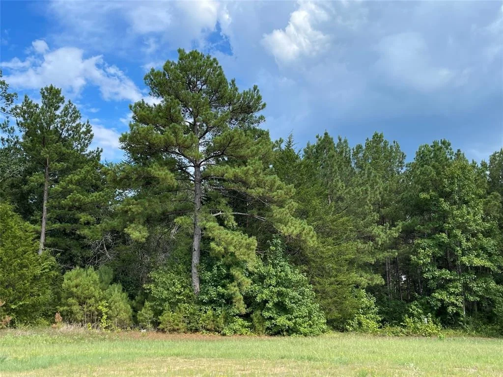Photo of 15357 Forest Grove Drive