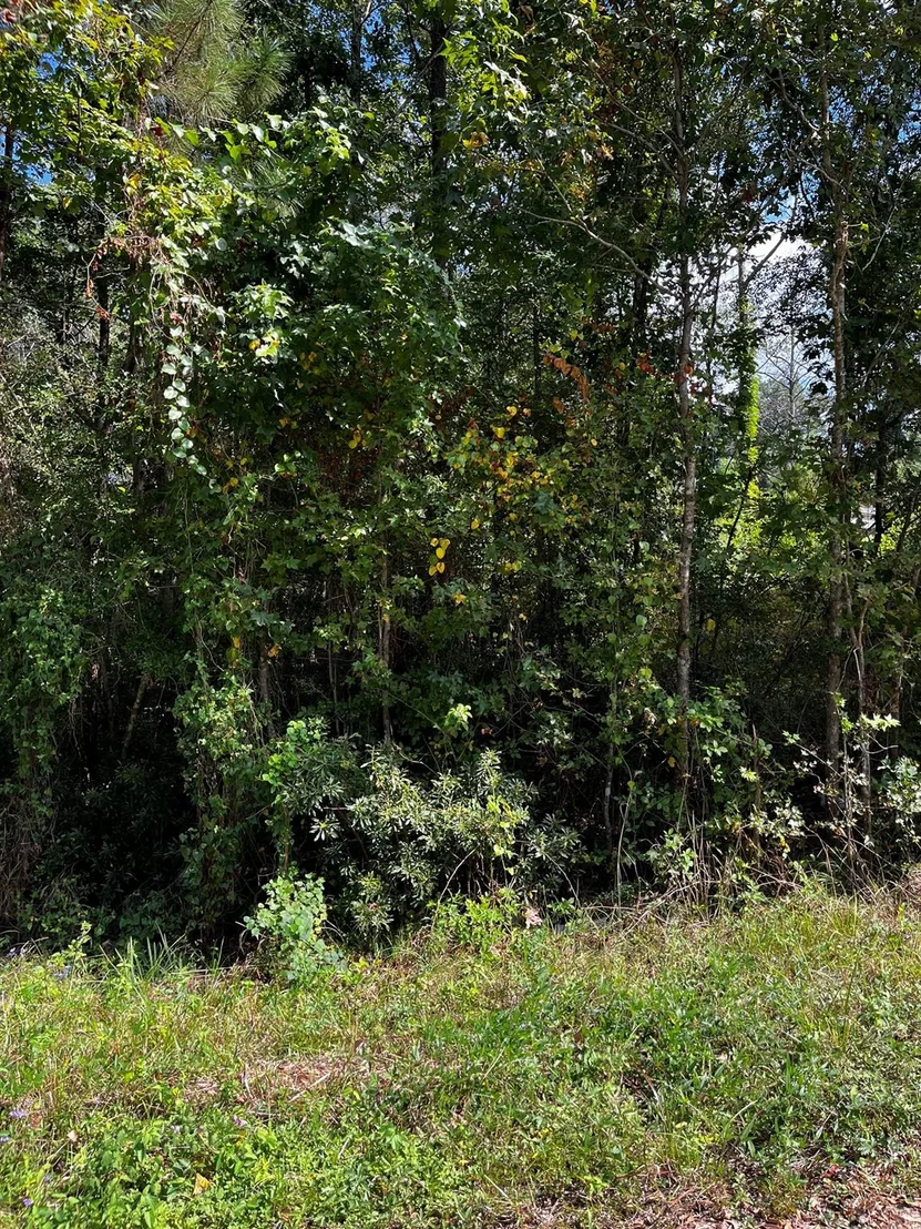 Photo of 106 Indian Creek Circle