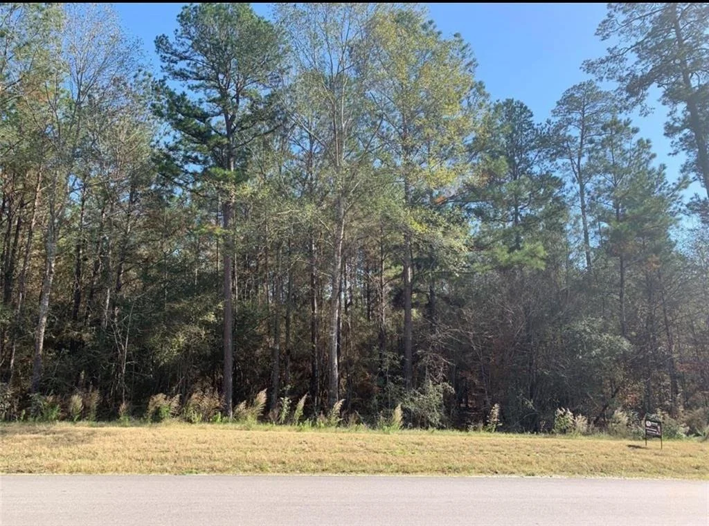 Photo of TBD LOT 51 Lonestar Road