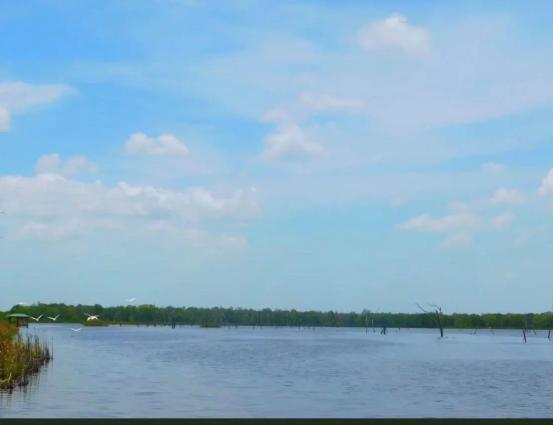 Photo of 116 Brahman