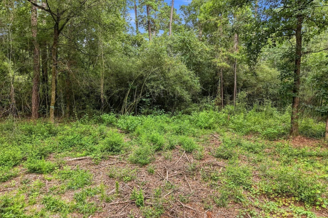Photo of 15890 Four Hills Road