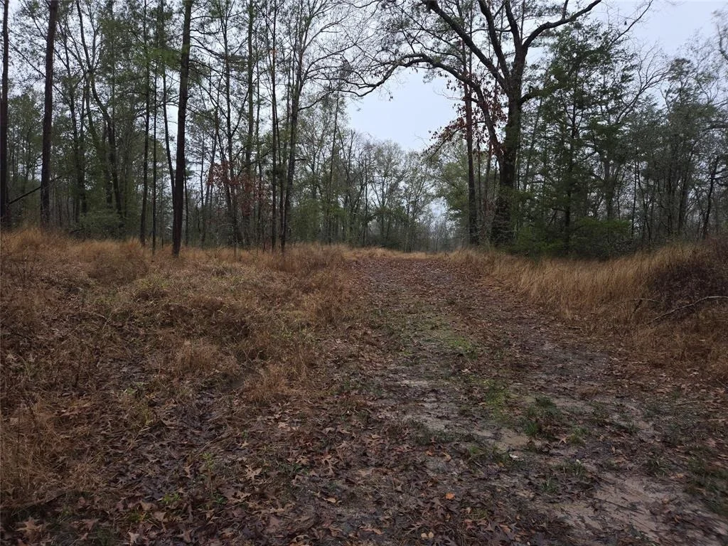 Photo of 4572 County Road 3610