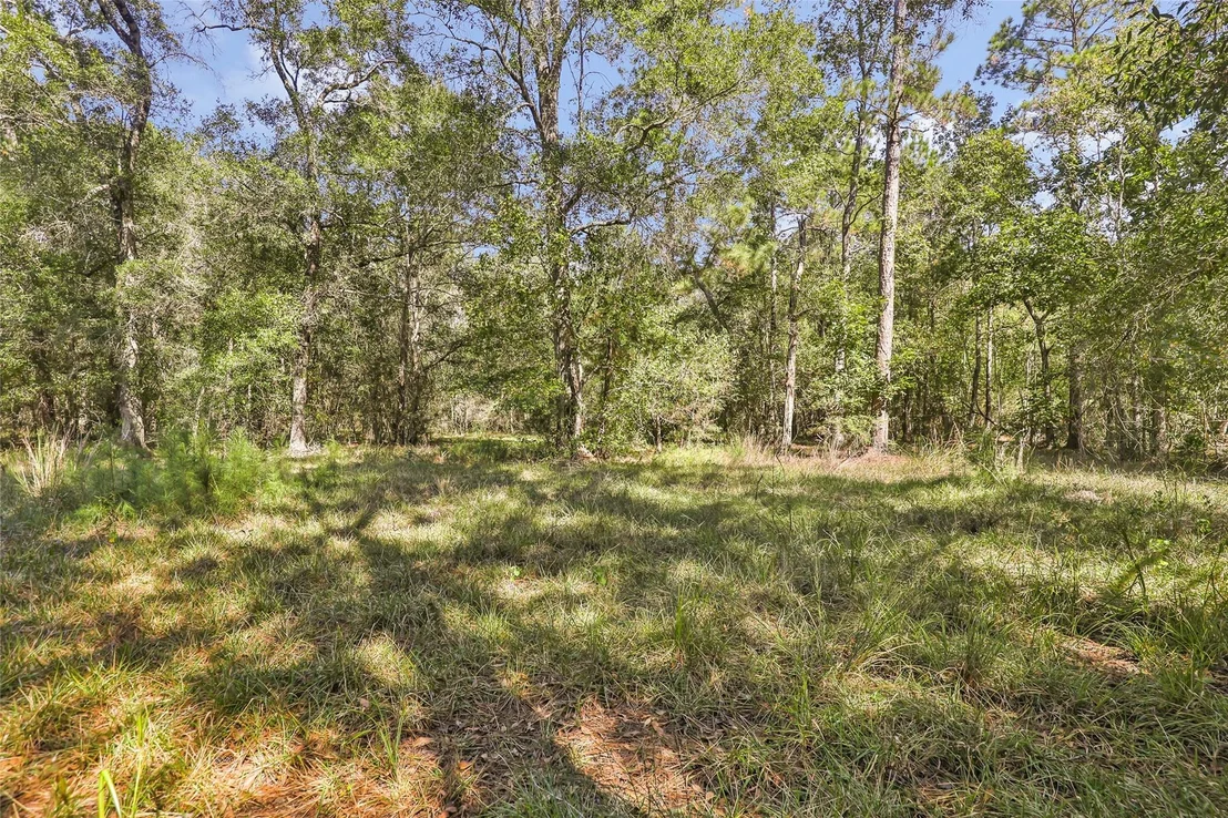 Photo of 1132 County Road 112