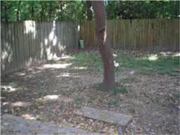Photo of 71 S Wavy Oak Circle