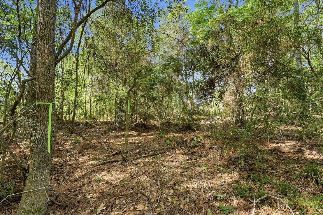 Photo of 19909 Big Oak Drive