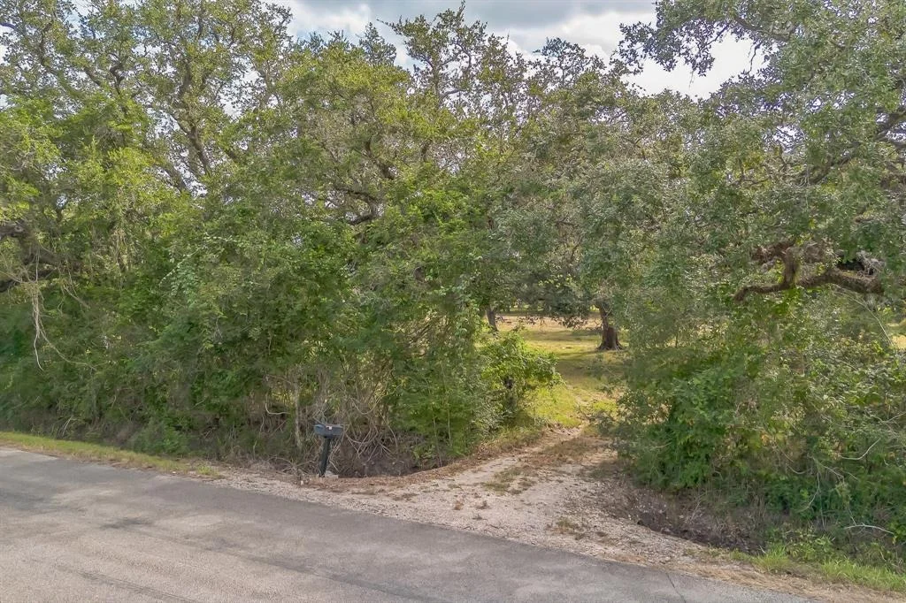 Photo of 2932 County Road 126