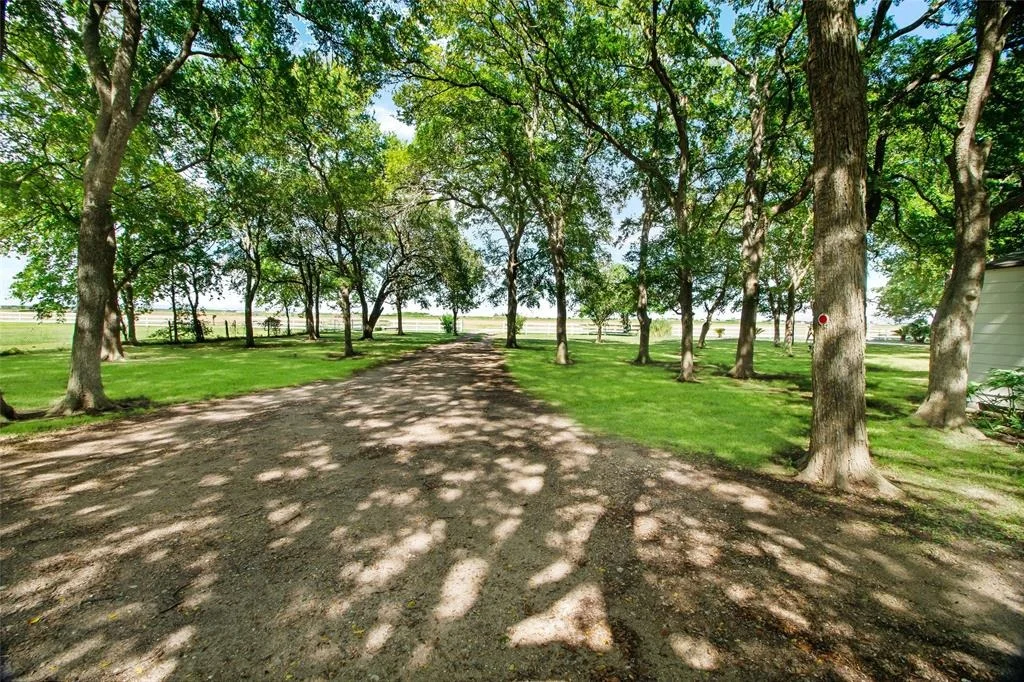 Photo of 383 County Road 296
