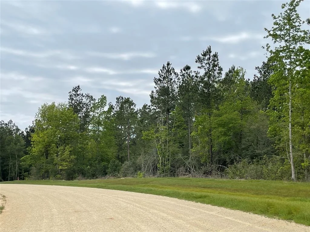 Photo of 11911 Grand North Road