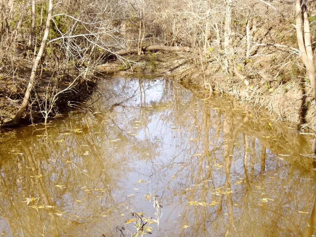 Photo of 11913 Mcangus Road