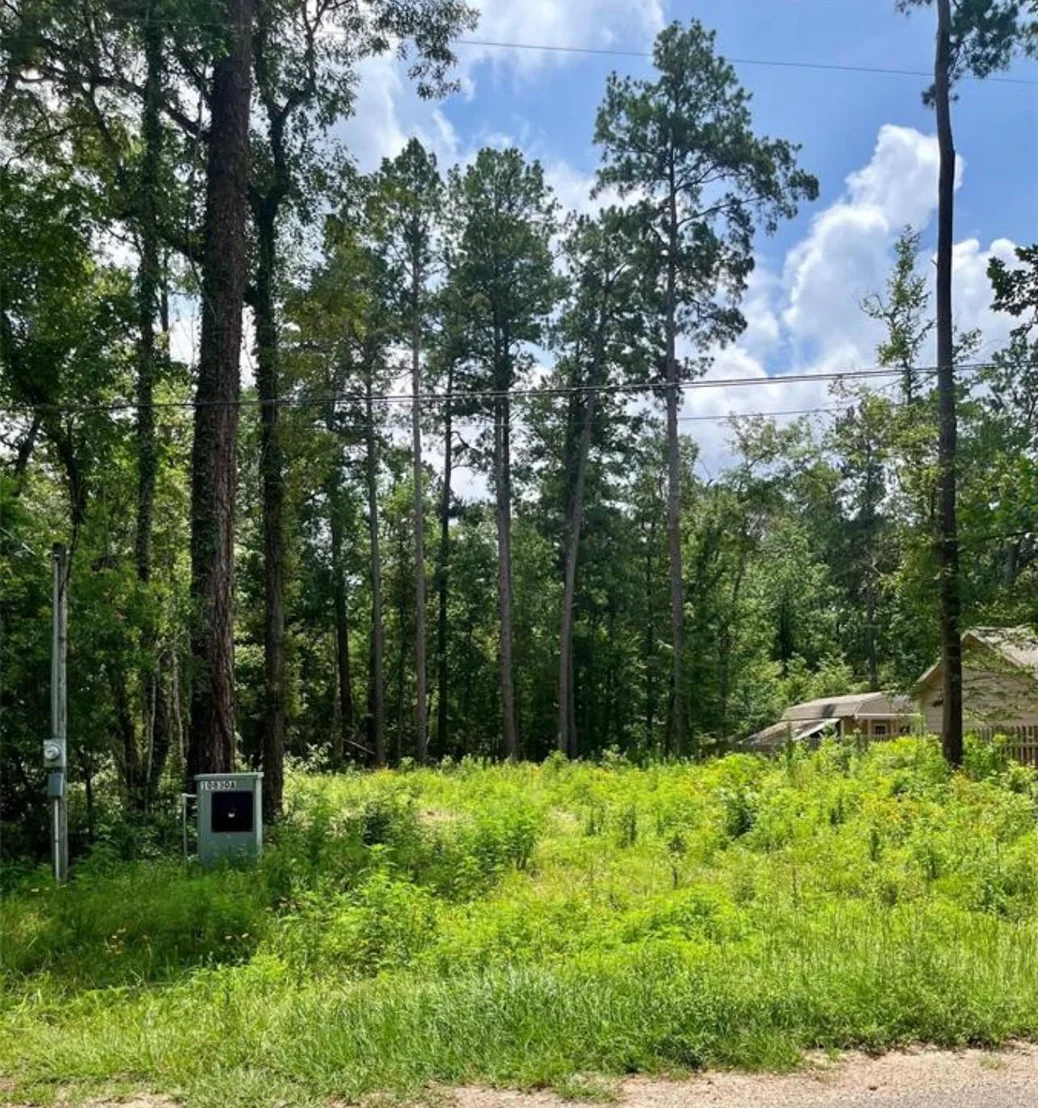 Photo of 10820 Royal York Drive
