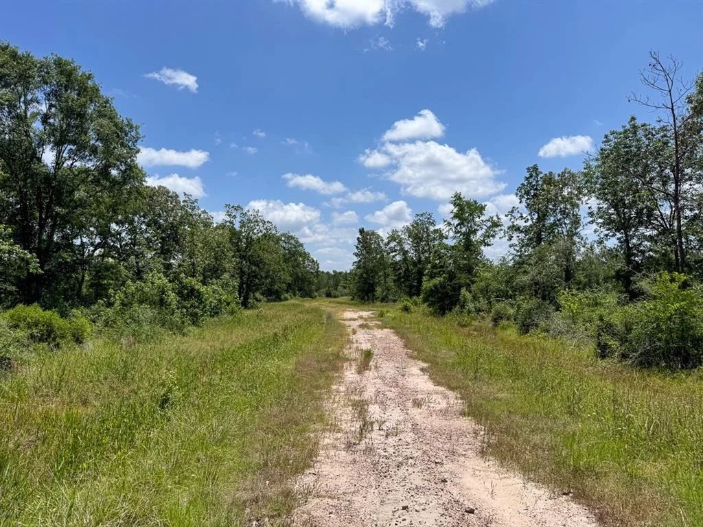 Photo of TBD Fm 355