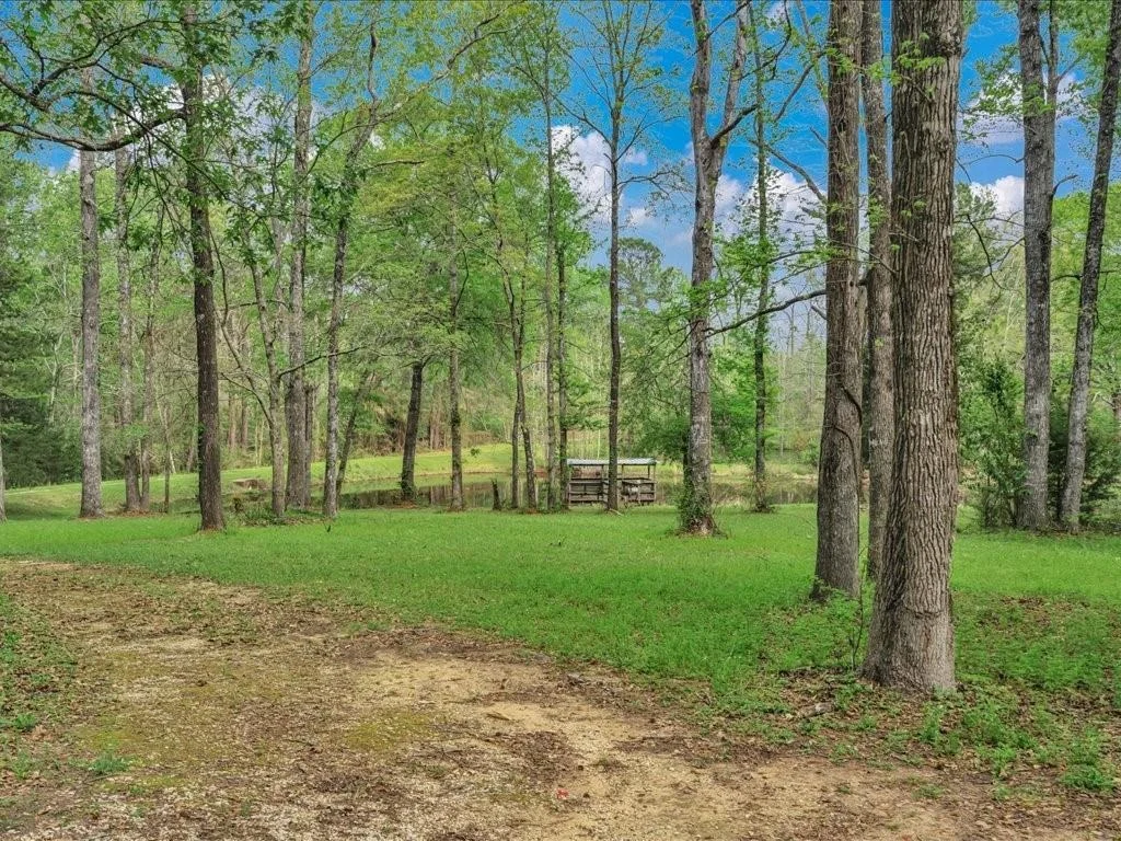 Photo of 235 County Barn Rd