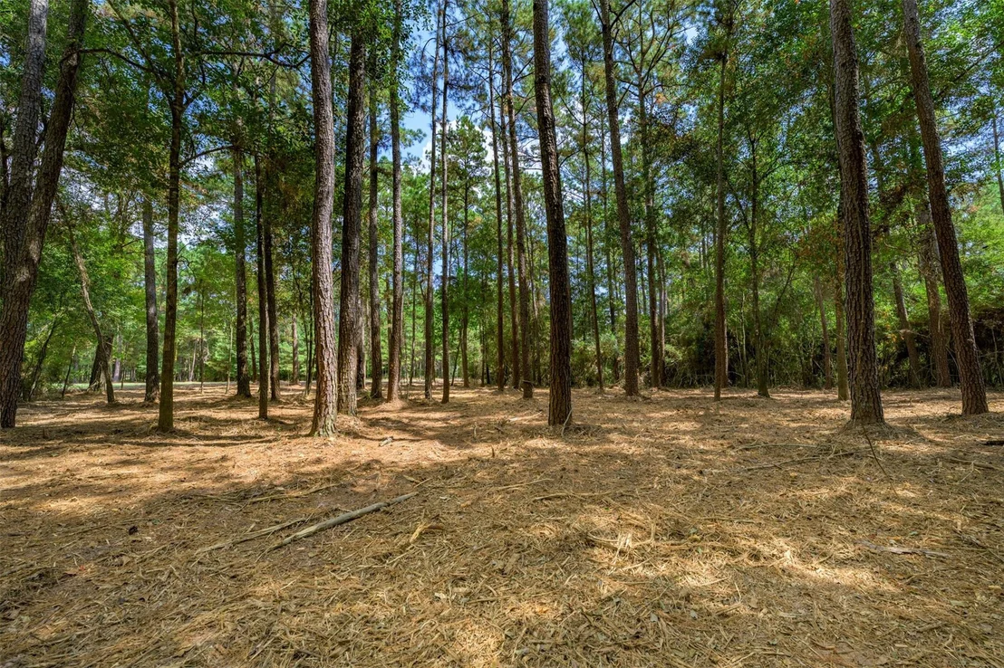 Photo of 17526 E Terrace Oaks Drive