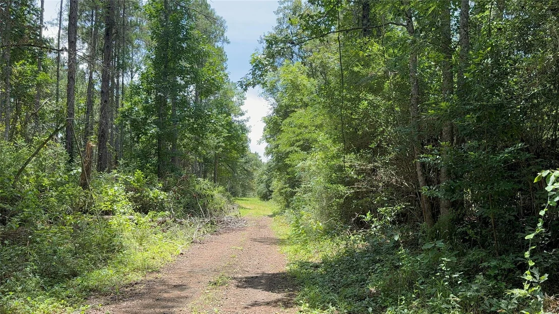 Photo of 422 County Road 4088