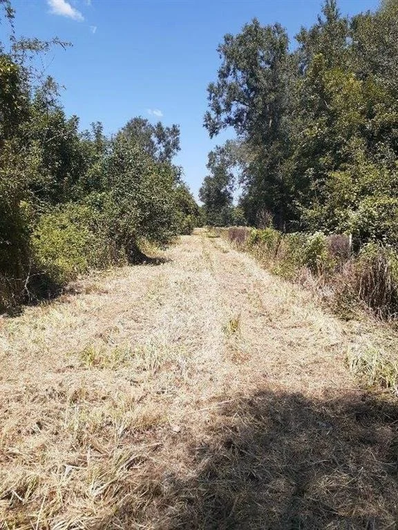 Photo of TBA Elmore Loop
