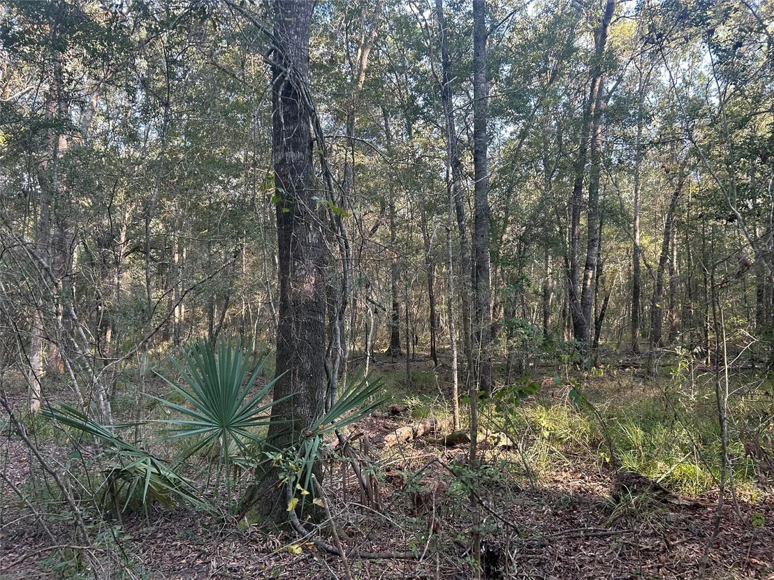 Photo of Tract 45, 46 Tx-61 Pr 117