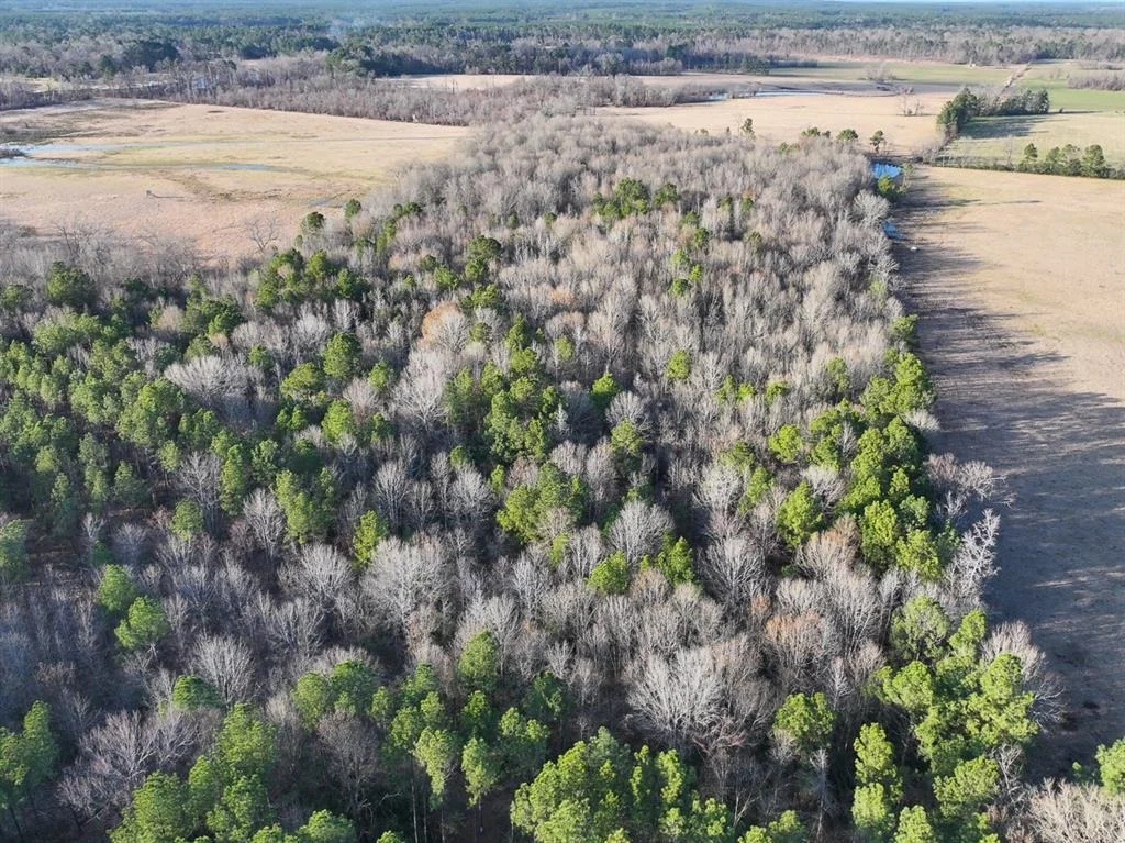 Photo of TBD Off Fm 355