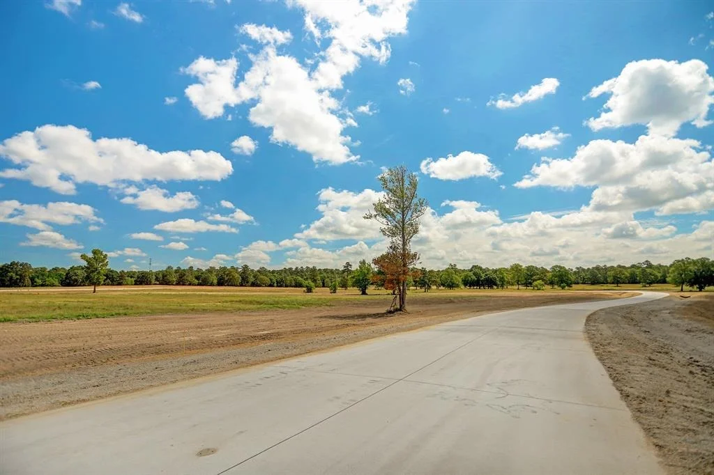 Photo of 2017 Stallion Lakes Avenue