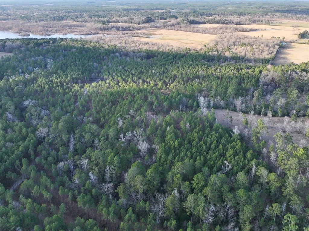Photo of TBD Off Fm 355