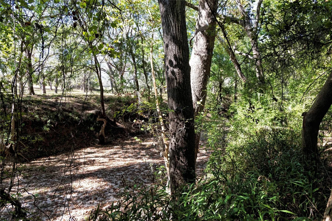 Photo of 202 County Road 142b
