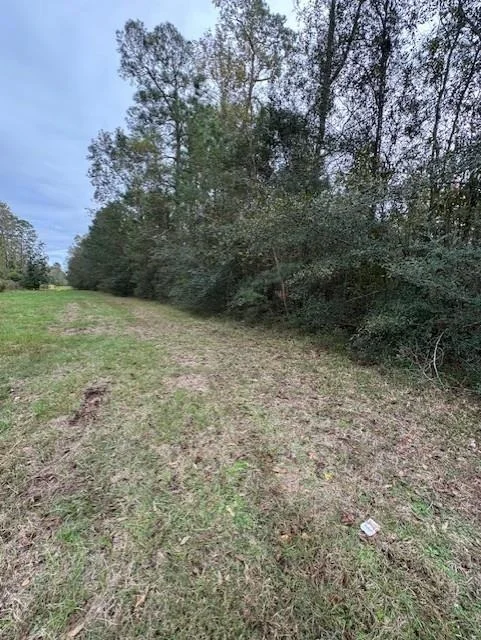 Photo of 2110 Roman Forest Boulevard