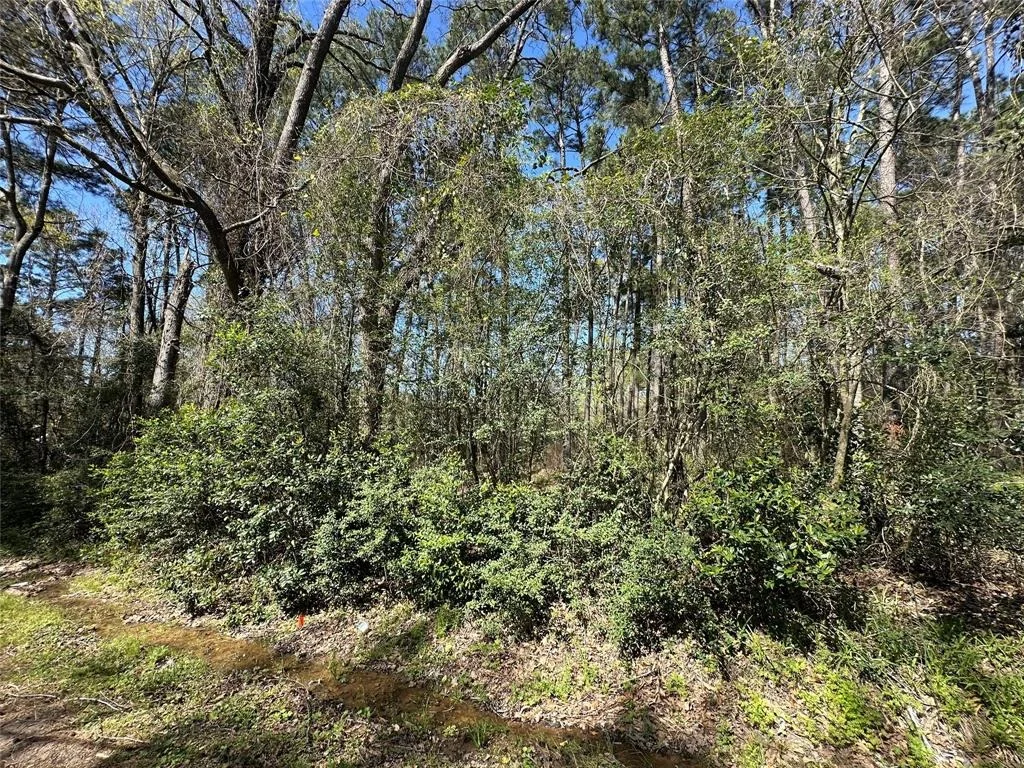 Photo of 518 Old Magnolia Road