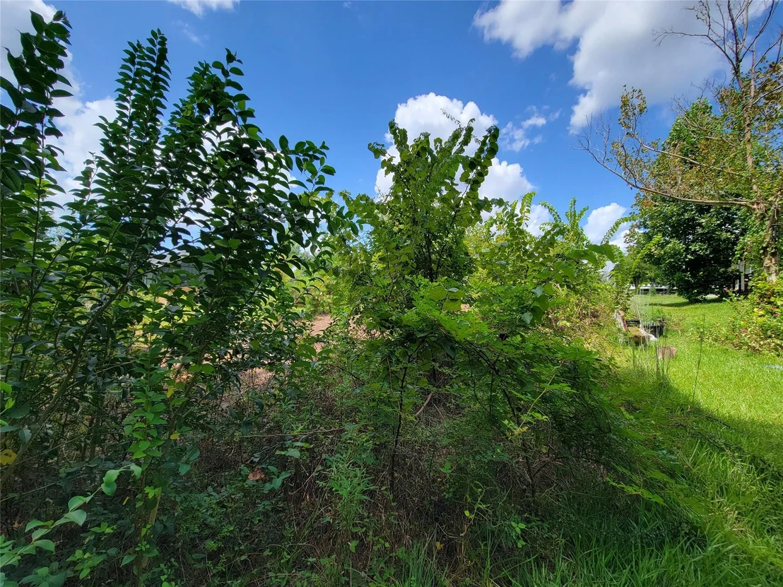 Photo of 0 Tri Lakes Rd