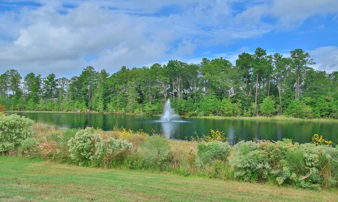 Photo of 4562 Silver Moon Drive