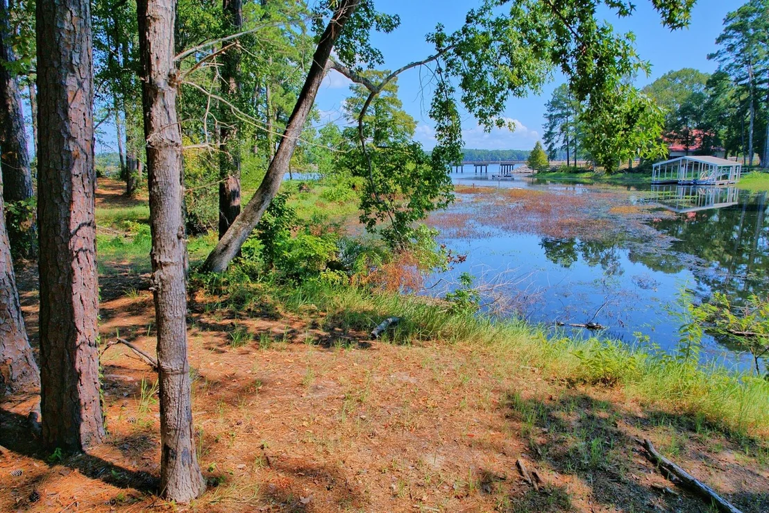 Photo of 431 Madie Duhon Drive