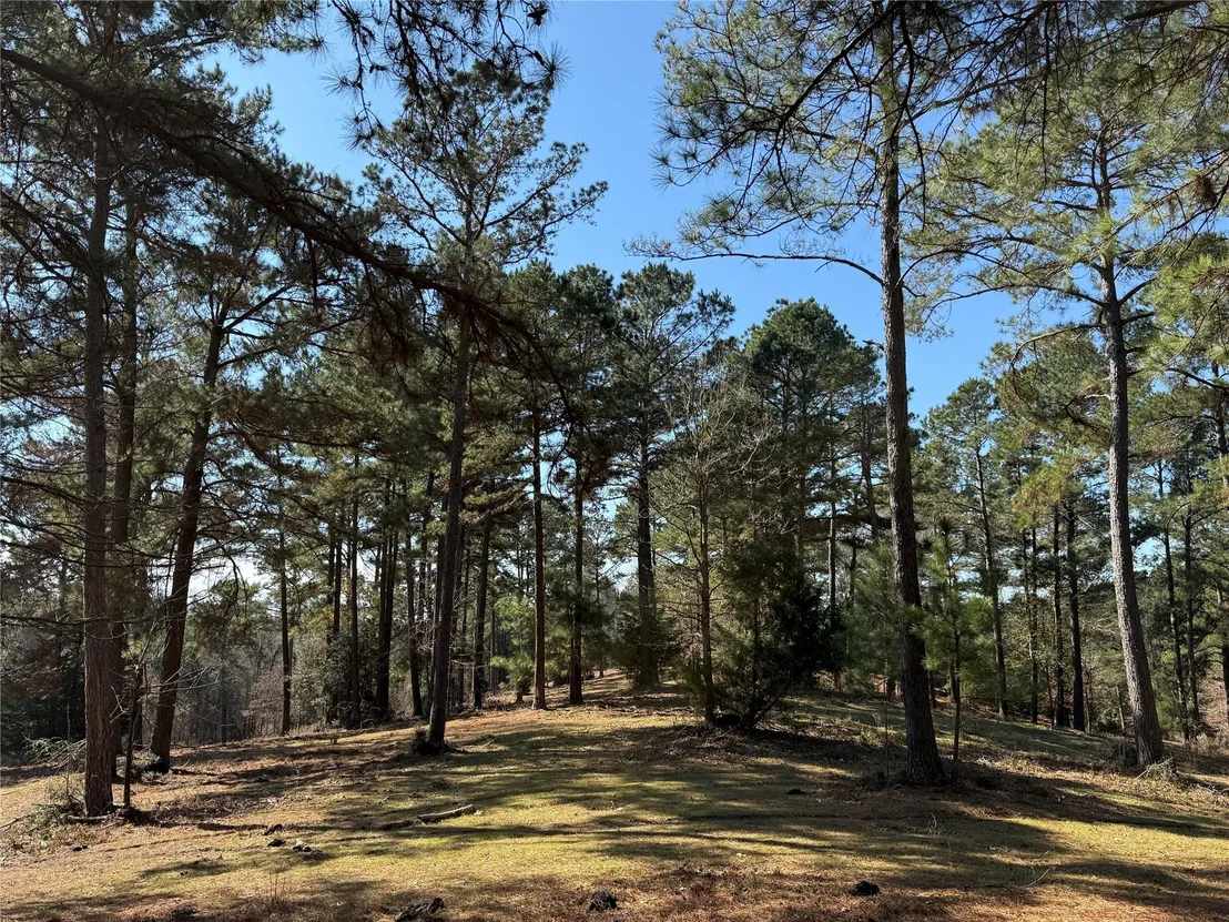 Photo of 3984 County Road 3100