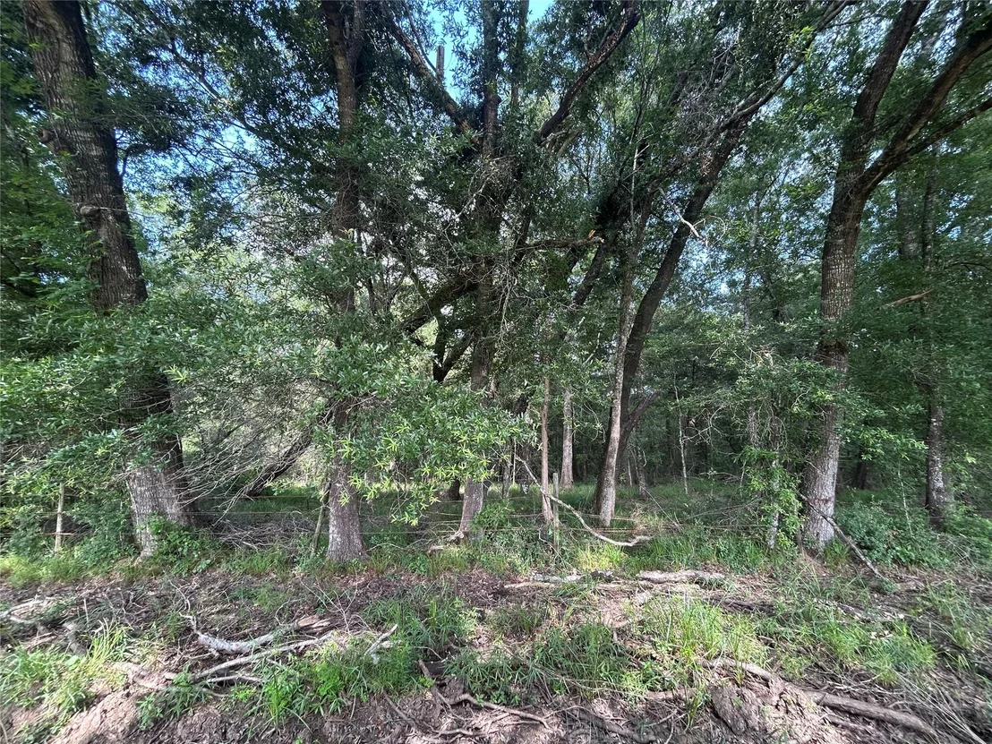 Photo of Lot 61 Minnie West Drive
