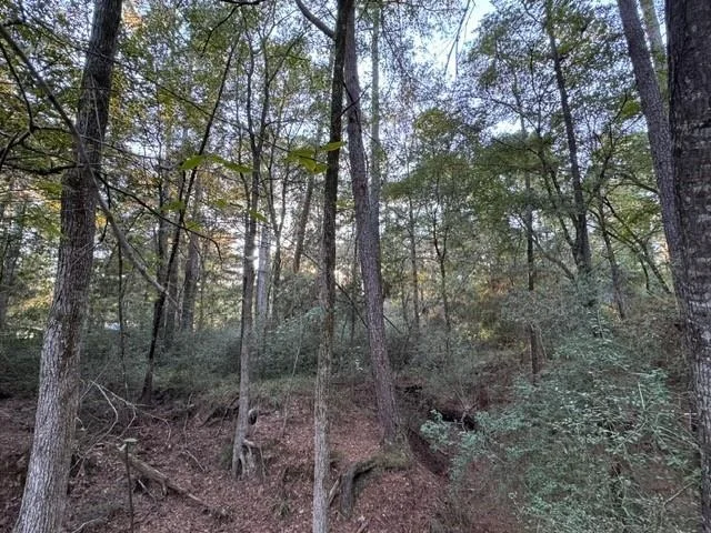 Photo of 70 Quail Trail