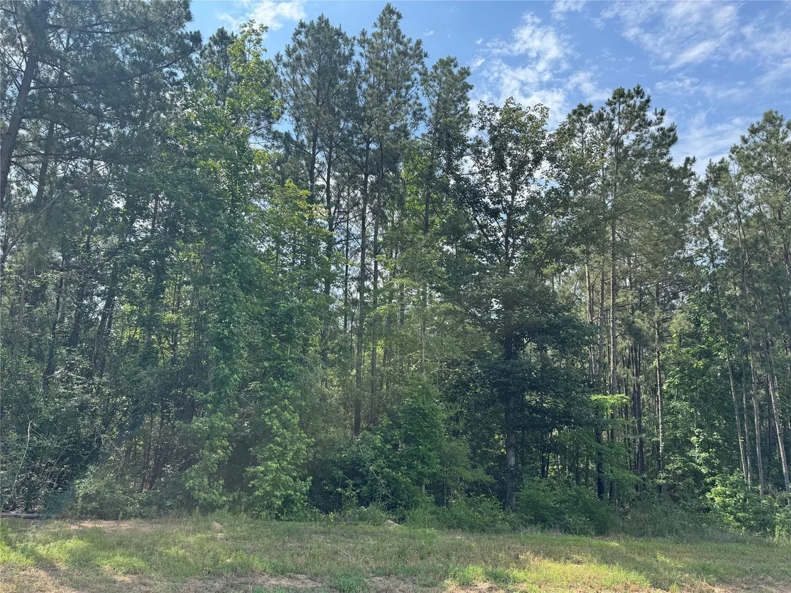 Photo of 15810 Ridge Rock Road