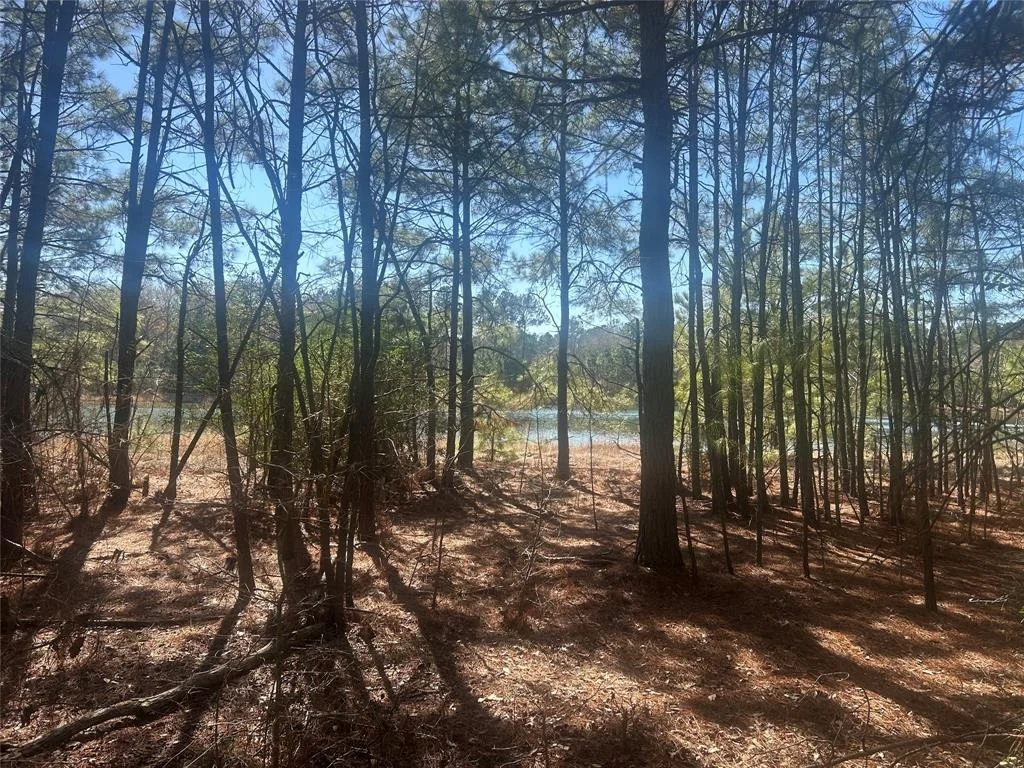 Photo of 17760 Saddle Horn Drive