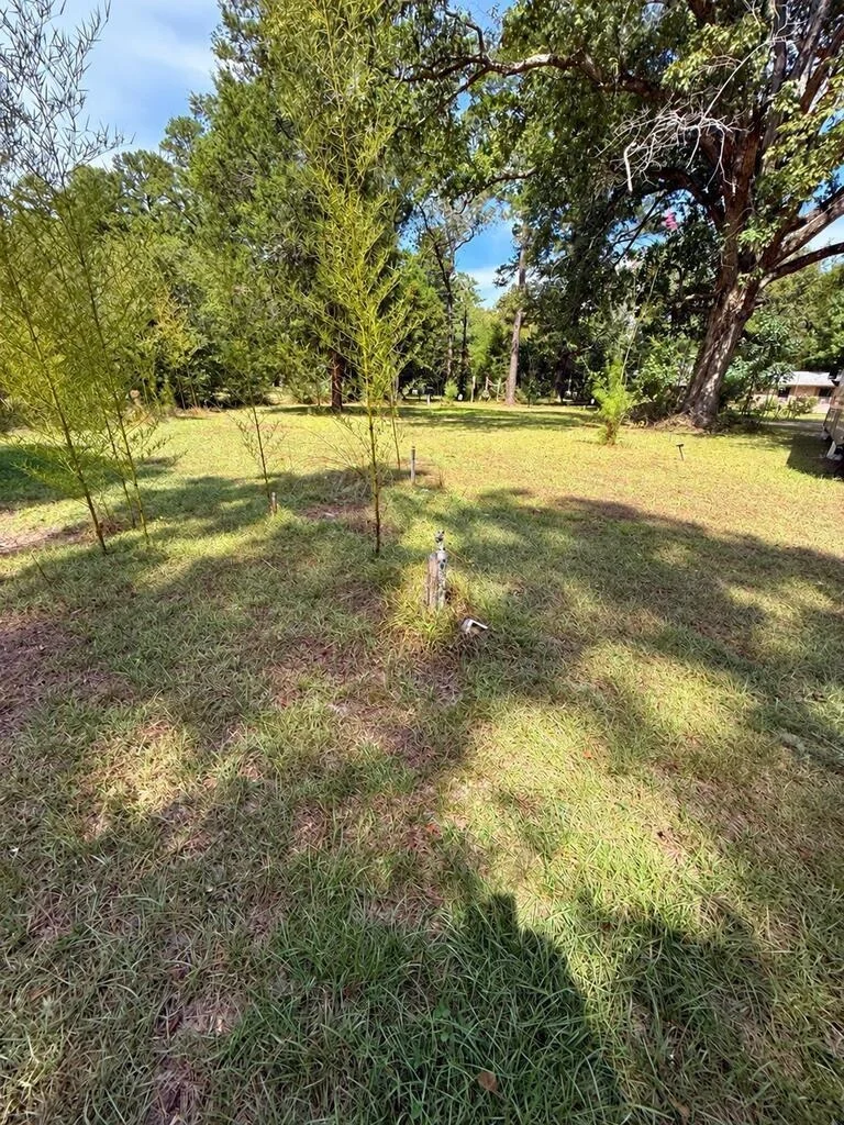 Photo of 1156 County Road 2132