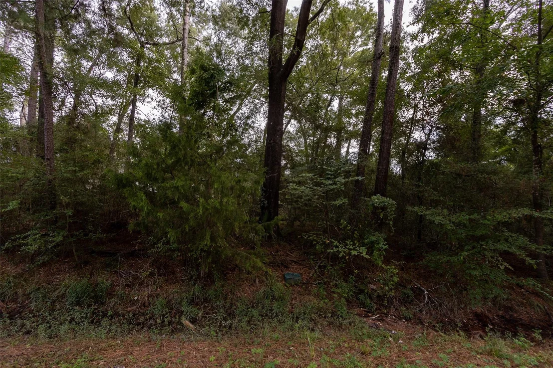 Photo of 31 Holly Springs Drive