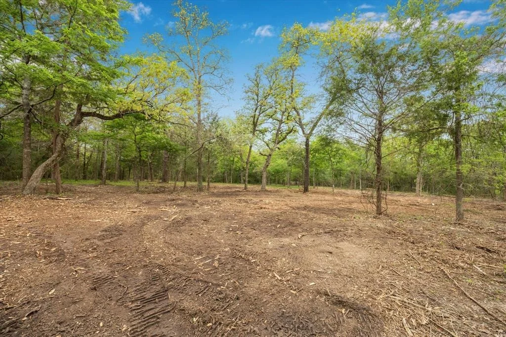 Photo of 4499 Old Navasota Rd