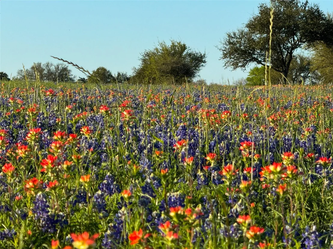 Photo of 9058 Sam Houston Road