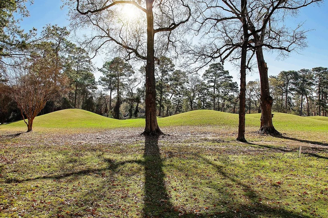 Photo of 2 Box Turtle Lane