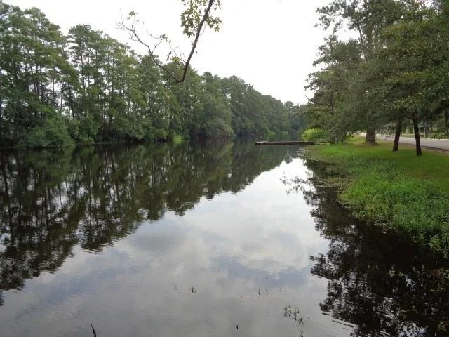 Photo of 600 Bullfrog Lane