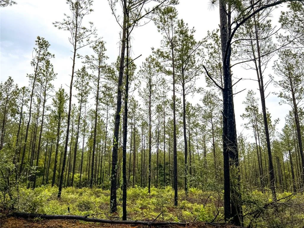 Photo of 02 Cr 258