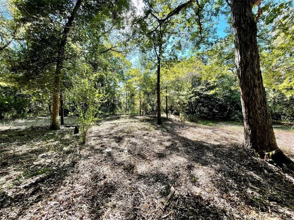 Photo of 11451 White Road