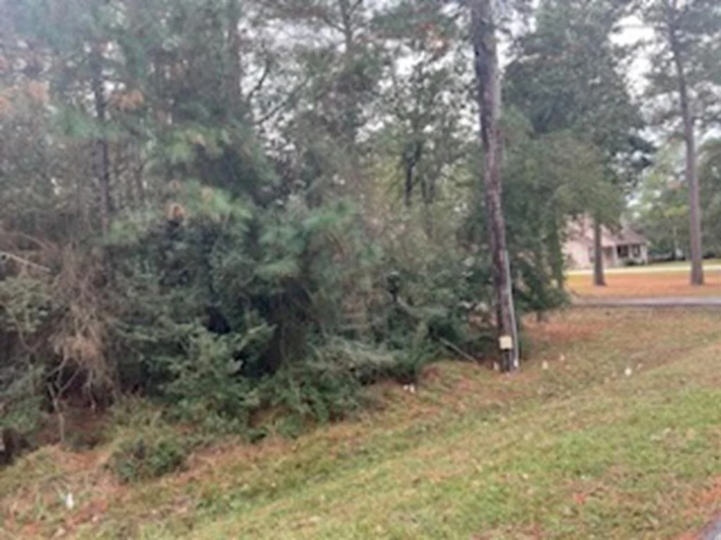 Photo of 22403 Meadowsweet Drive
