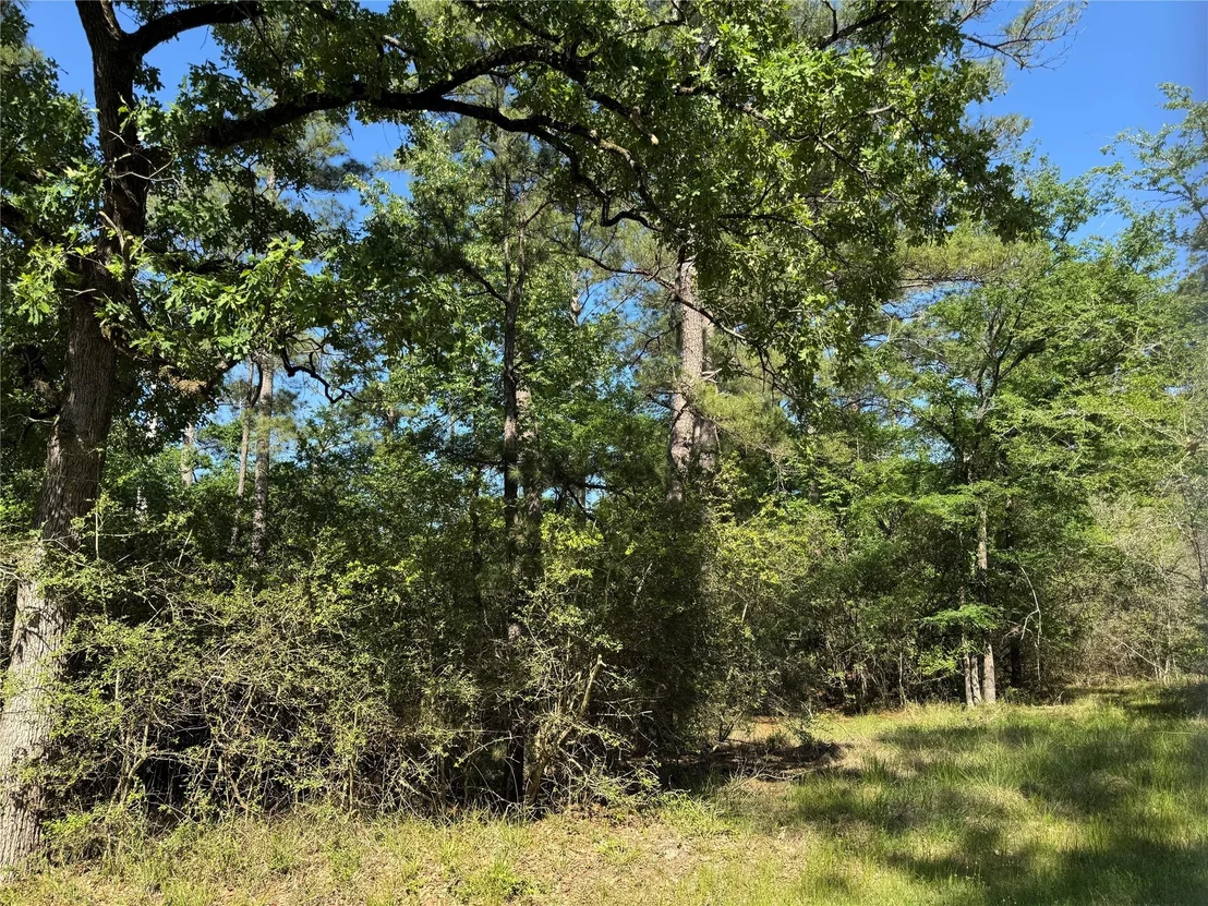 Photo of 15 Wood Harbor