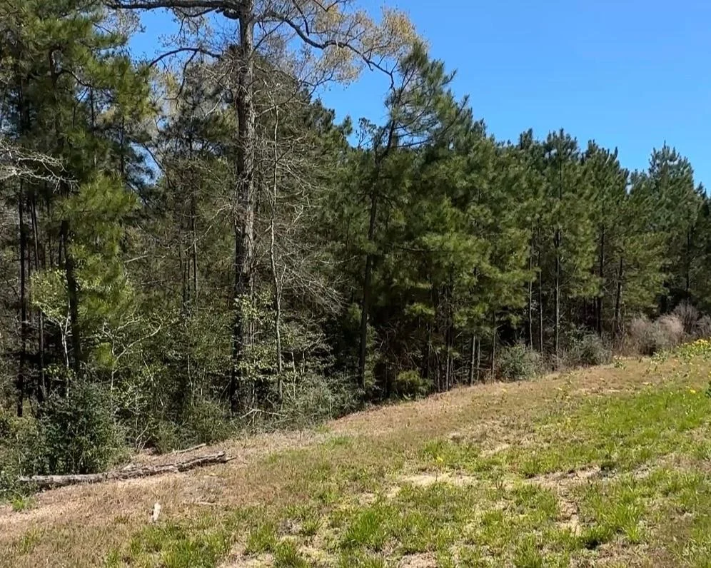 Photo of 16283 Ridge Oak Road