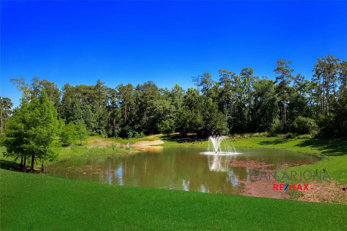 Photo of 14 Cordella