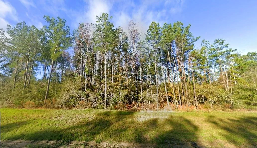 Photo of 10633 Ruger Road