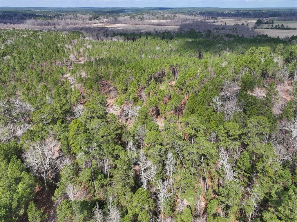 Photo of TBD Off Fm 355