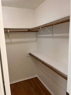 Photo of 4503 Tangle Creek Lane